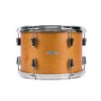 C & C Gladstone Drum Set Online