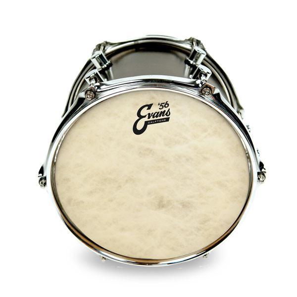 Evans Calftone Drum Head Online Hot Sale