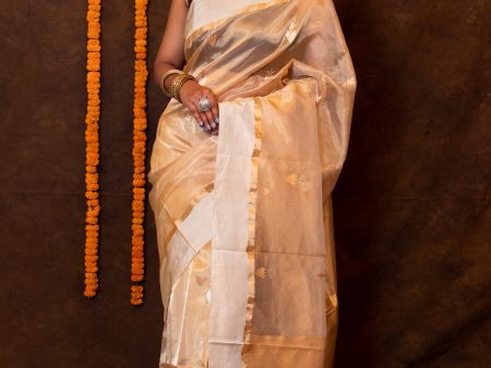 Gold Pure Tissue Saree For Discount