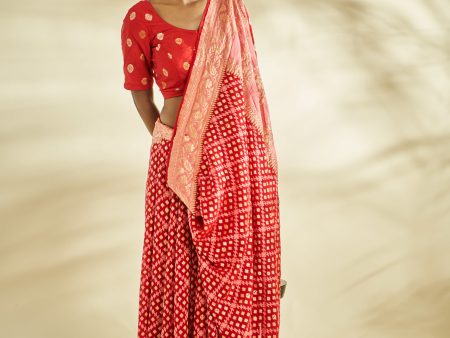 Pure Chiffon Khaddi Saree In Red Colour For Sale