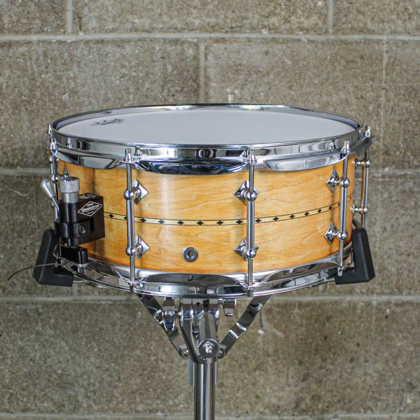 Craviotto 2010 5.5  x 14  Solid Maple Shell Snare Drum Online now