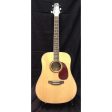 Ashton D25 acoustic guitar with tuner on Sale