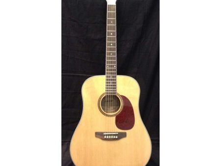 Ashton D25 acoustic guitar with tuner on Sale