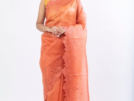 Kora Embroidery Saree with scalp border Supply