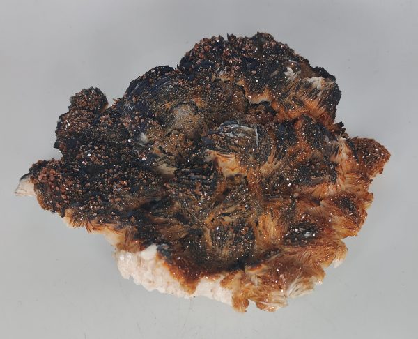 Vanadinite on Barite Online Sale