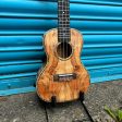 Blackwater YWUK-24FMEQ Concert ukulele (Including Gig Bag) Online