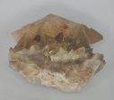 Dogtooth Calcite - L Cheap