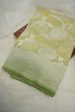 Light Green Lemon Kora Saree with Silver Zari Jaal Fashion