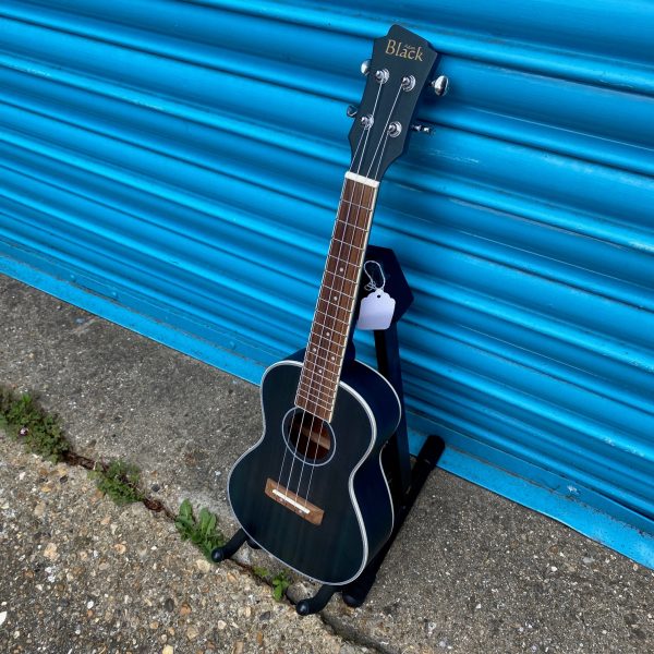 Adam Black CB120 Concert Ukulele - See Through Blue Hot on Sale