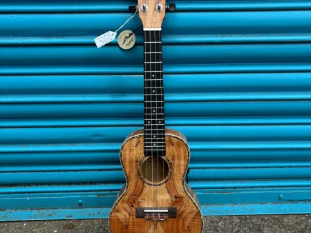 Blackwater YWUK-24FMEQ Concert ukulele (Including Gig Bag) Online