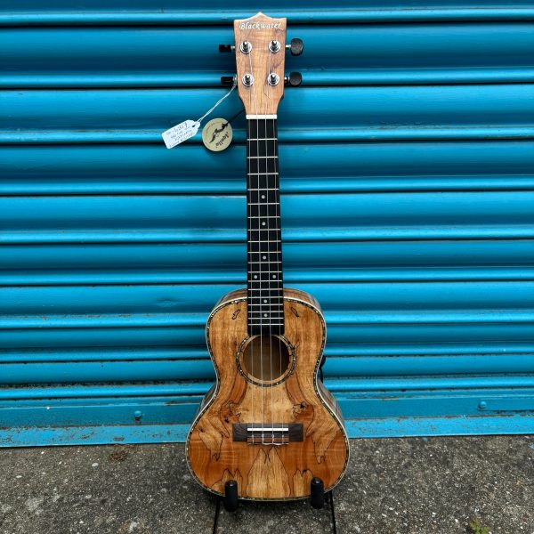 Blackwater YWUK-24FMEQ Concert ukulele (Including Gig Bag) Online