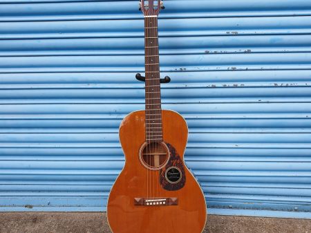 Tanglewood TW40 PAN Sundance Acoustic Guitar Supply