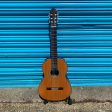 Esteve 3Z Classical Guitar For Discount