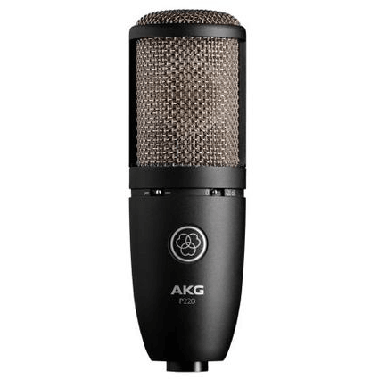 AKG P220 Condenser Microphone Hot on Sale