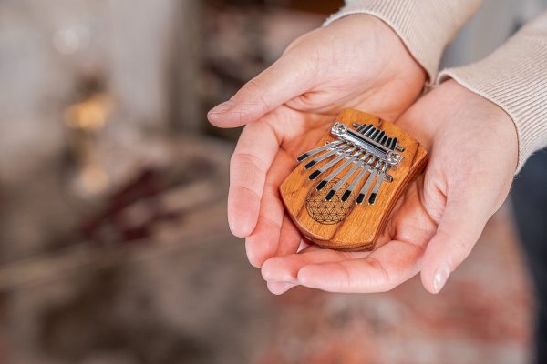 MEINL Sonic Energy Solid  Flower of Life  Mini Kalimba - 8 notes   Red Zebrawood Online now