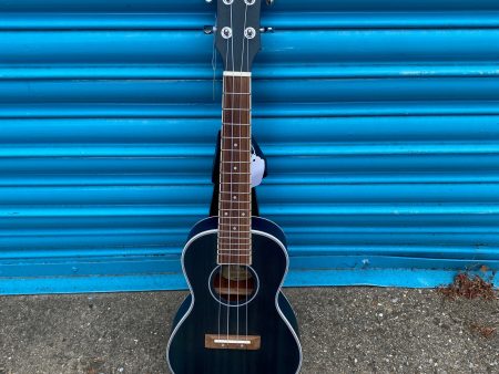 Adam Black CB120 Concert Ukulele - See Through Blue Hot on Sale