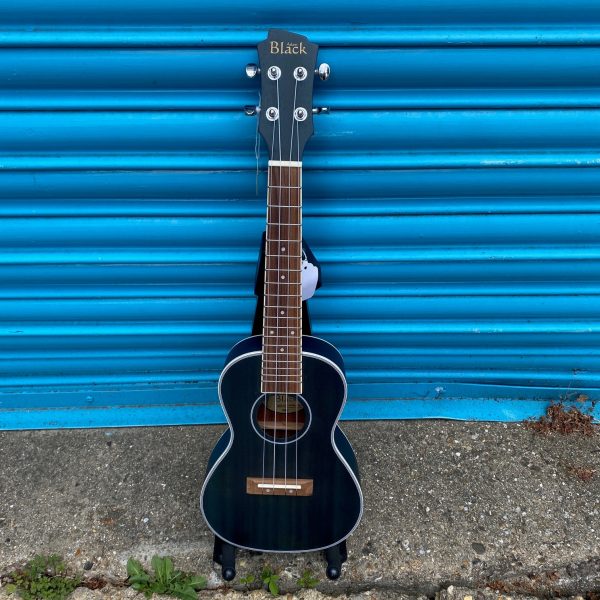 Adam Black CB120 Concert Ukulele - See Through Blue Hot on Sale