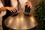 (Ex-Display) MEINL Sonic Energy Sensory Handpan Stainless Steel D Kurd 9 Notes 440 Hz - Vintage Gold Online now