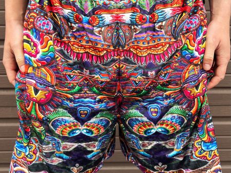 Chris Dyer -  Bullish Man  - Gym Shorts Online