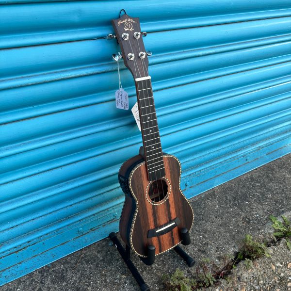 Snail UKS-220EQ Ebony Soprano Ukulele, Inc. Gig Bag Online Hot Sale