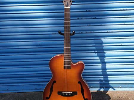 Aria - FET-F1 Electro Acoustic Guitar Discount