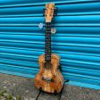 Blackwater YWUK-24FMEQ Concert ukulele (Including Gig Bag) Online