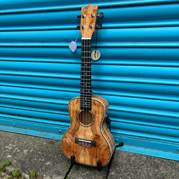 Blackwater YWUK-24FMEQ Concert ukulele (Including Gig Bag) Online