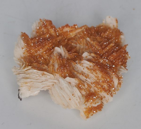 Vanadinite on Barite Online Sale