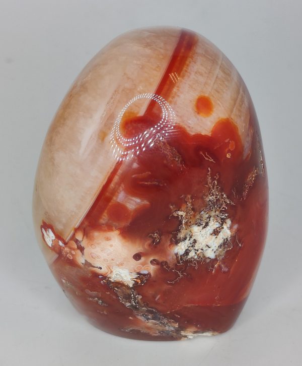 Carnelian Free Forms Sale