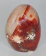 Carnelian Free Forms Sale