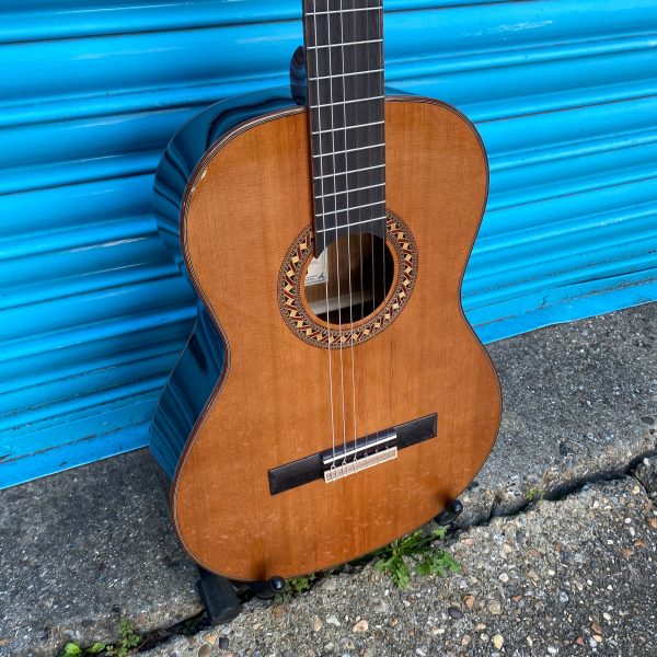 Tanglewood EM D3 Classical Guitar Inc. Gig Bag Online Sale