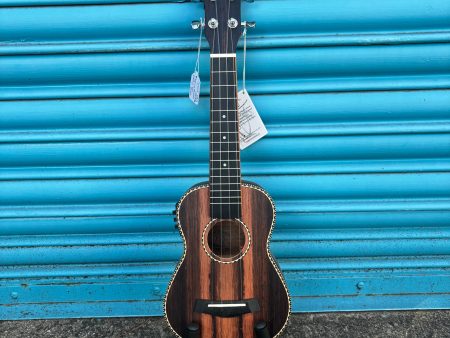 Snail UKS-220EQ Ebony Soprano Ukulele, Inc. Gig Bag Online Hot Sale