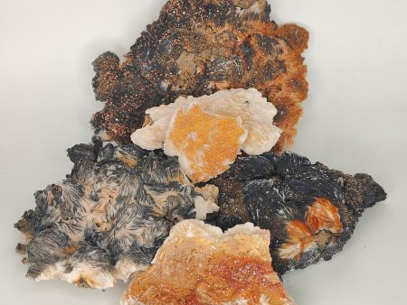 Vanadinite on Barite Online Sale