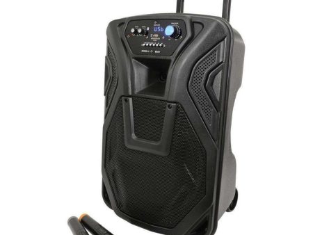 QTX Busker 12 rechargeable Active speaker with 2x VHF Mics, Media Player & Bluetooth® on Sale