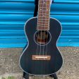 Adam Black CB120 Concert Ukulele - See Through Blue Hot on Sale