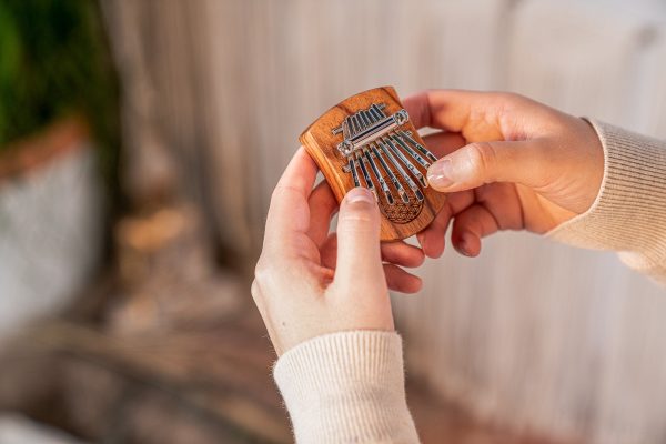 MEINL Sonic Energy Solid  Flower of Life  Mini Kalimba - 8 notes   Red Zebrawood Online now