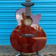 Cort SFX Myrtlewood Electro Acoustic Guitar Sale