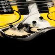 Vigier Roger Glover Signature Bass Rock Art Sale